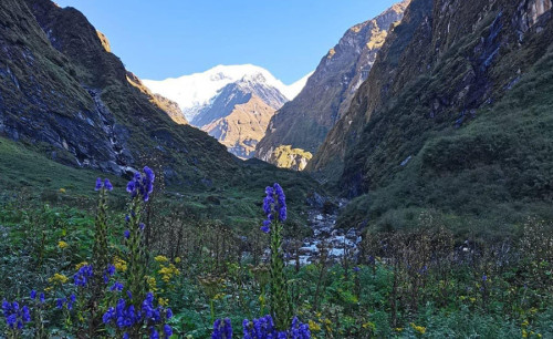 Annapurna Circuit Trek - Aventure classique dans l'Himalaya