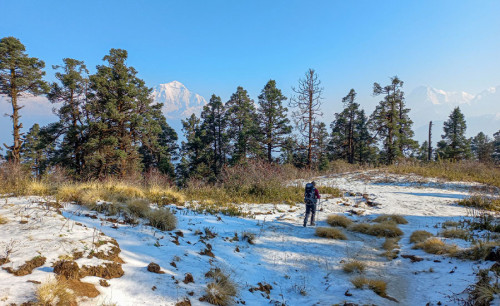 Trek de Khopra Danda | Explorer la beauté intacte de l'Annapurna