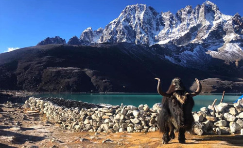 Trek des trois cols de l'Everest | Le trek ultime en haute altitude