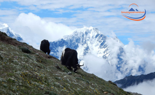 Arun Valley Trek avec le camp de base de l'Everest - Une expérience de trekking unique