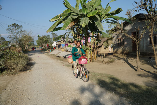 Attraper le parc national de Chitwan - Safari animalier